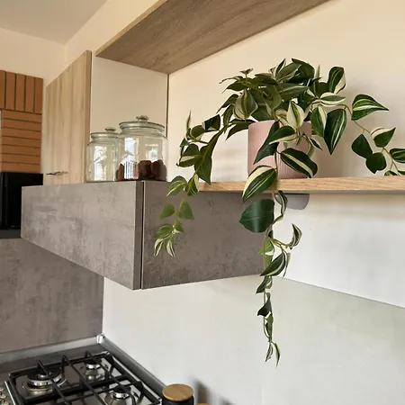 Apartamento Like Norma
